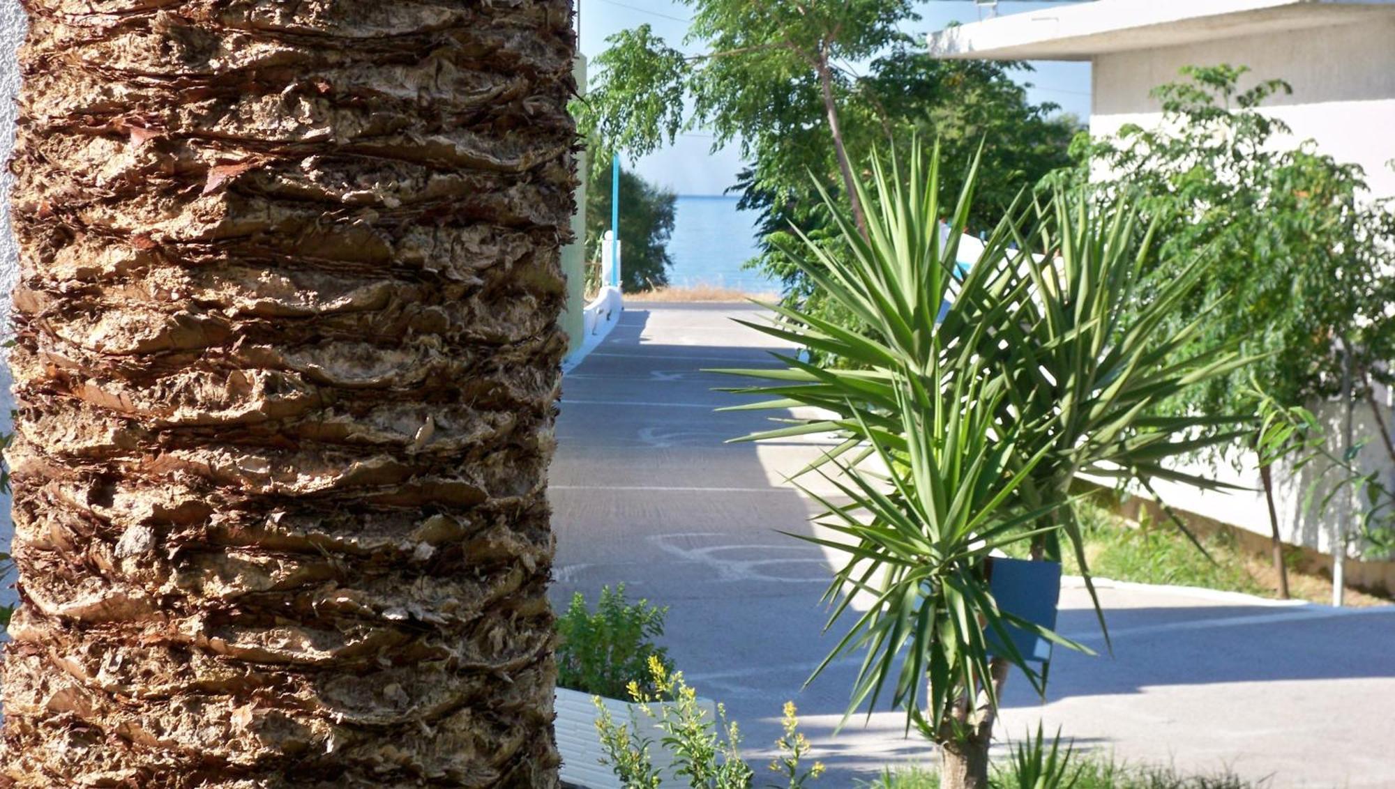 Aphrodite Samos Suites 마라토캄포스 외부 사진