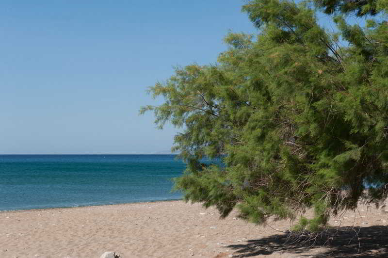 Aphrodite Samos Suites 마라토캄포스 외부 사진
