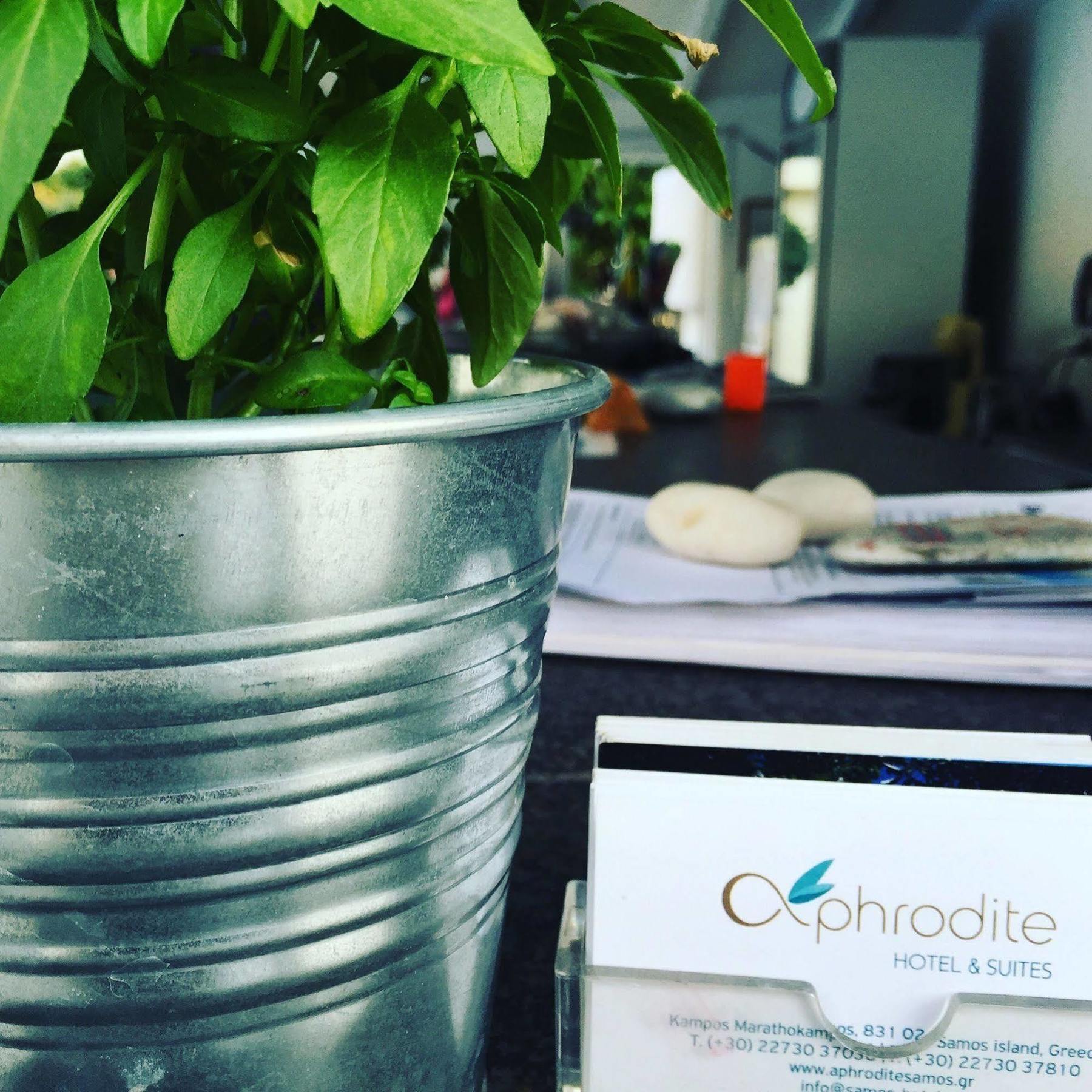 Aphrodite Samos Suites 마라토캄포스 외부 사진